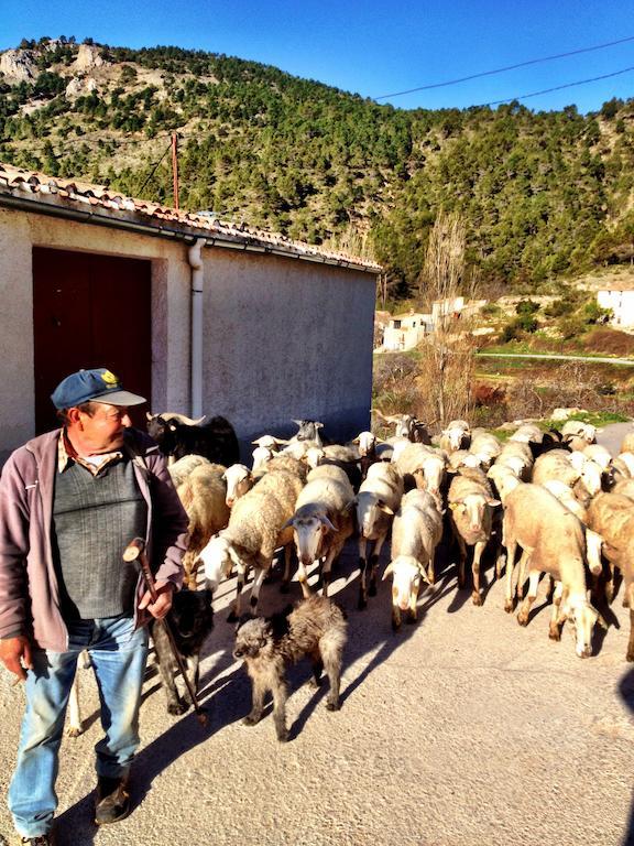 Casas Rurales Vegasierra Bogarra ภายนอก รูปภาพ
