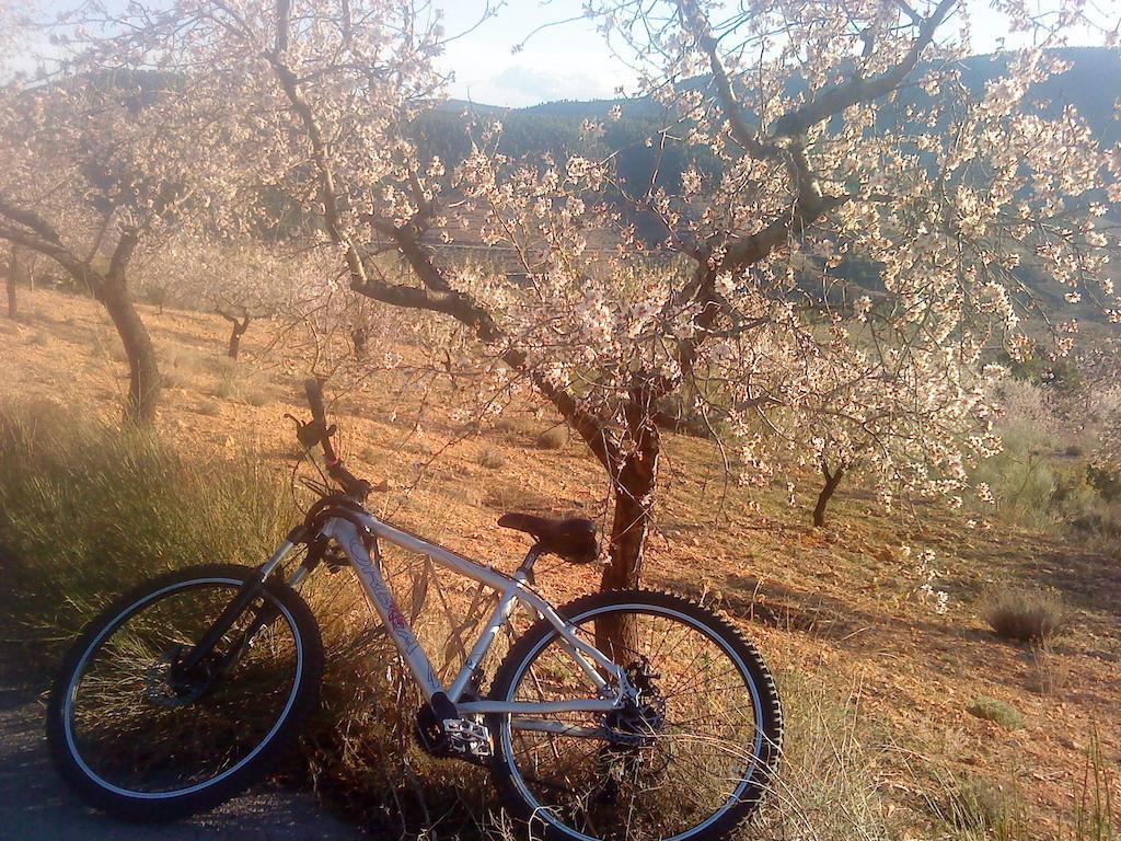 Casas Rurales Vegasierra Bogarra ภายนอก รูปภาพ