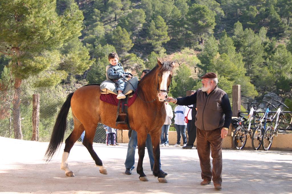 Casas Rurales Vegasierra Bogarra ภายนอก รูปภาพ
